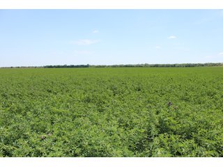 Property photo 47 - LAND AUCTION - 1,371+/- ACRES OFFERED IN 25 TRACTS IN GOLDSBY, OKLAHOMA